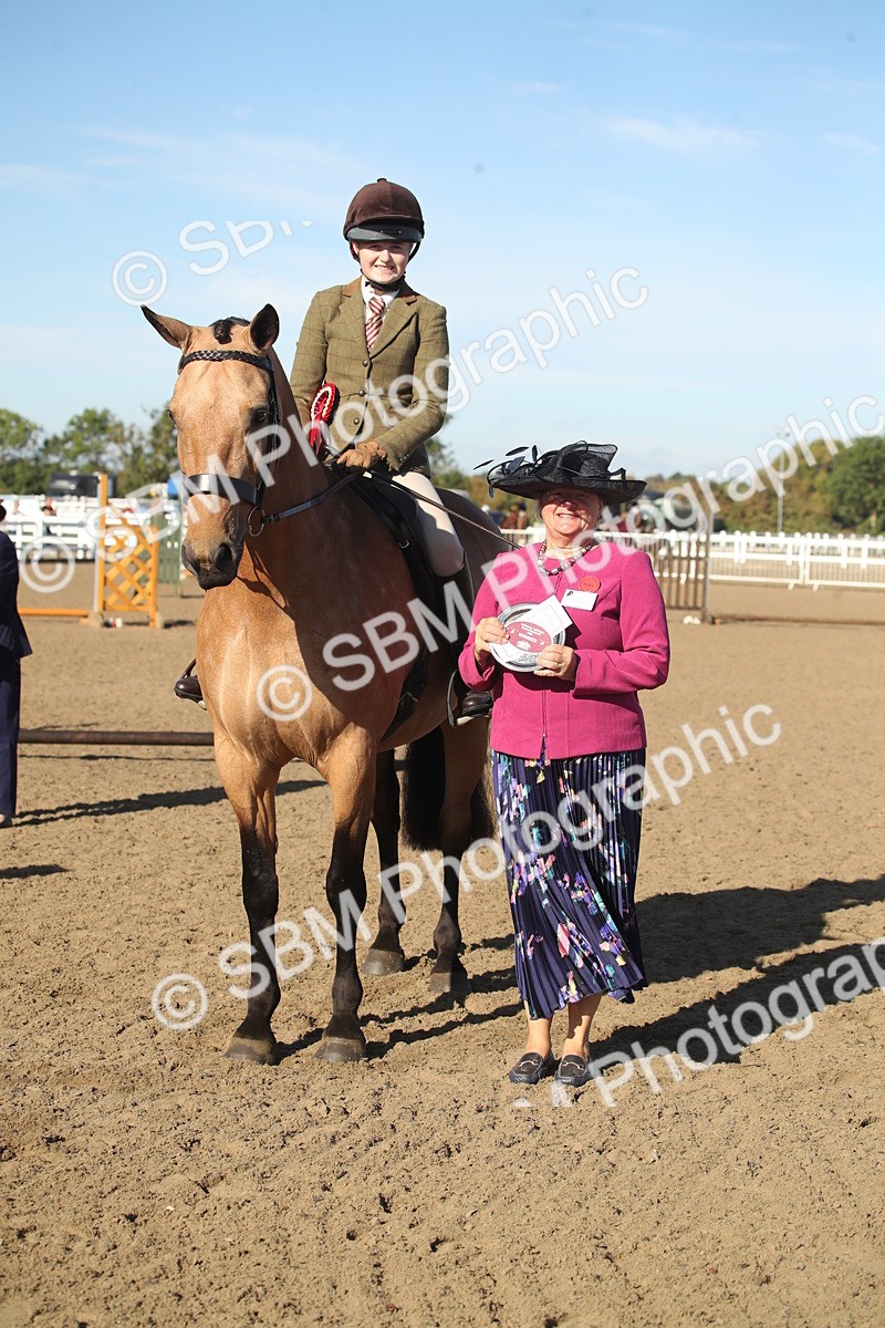 SBM_11344 - Class 501 -Riding Club Pony