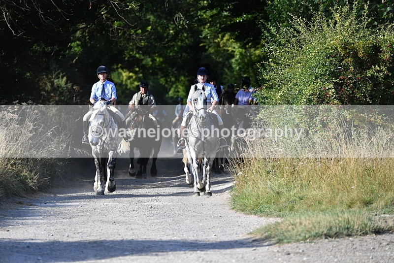 WJ5_4863 - Walk out with the hounds