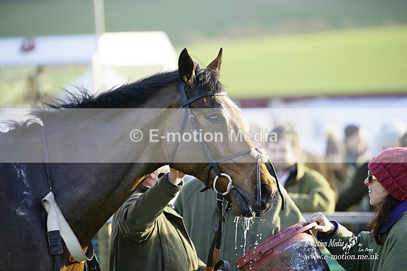 PtP 300122 668 - South Dorset Hunt - Point-to-Point Races 30/01/2022