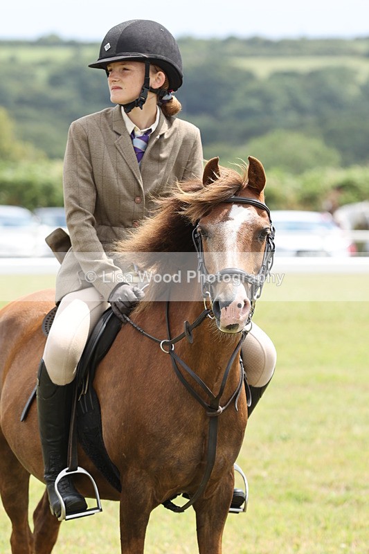 JPP_1951 - Class 18: Tiny Tots Working Hunter Pony