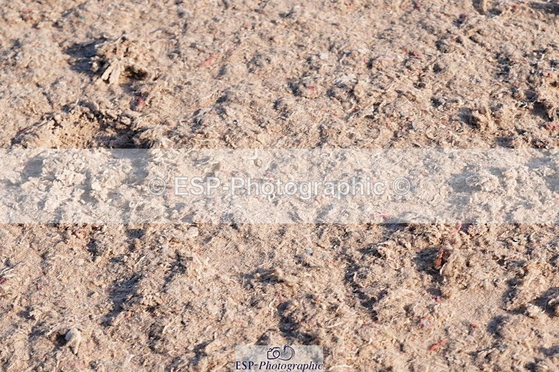 250510-181820-12429 - Cls 18 Chard Eq Derby