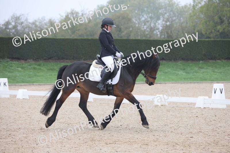 20251012-0441 - Class 3 - Novice 5