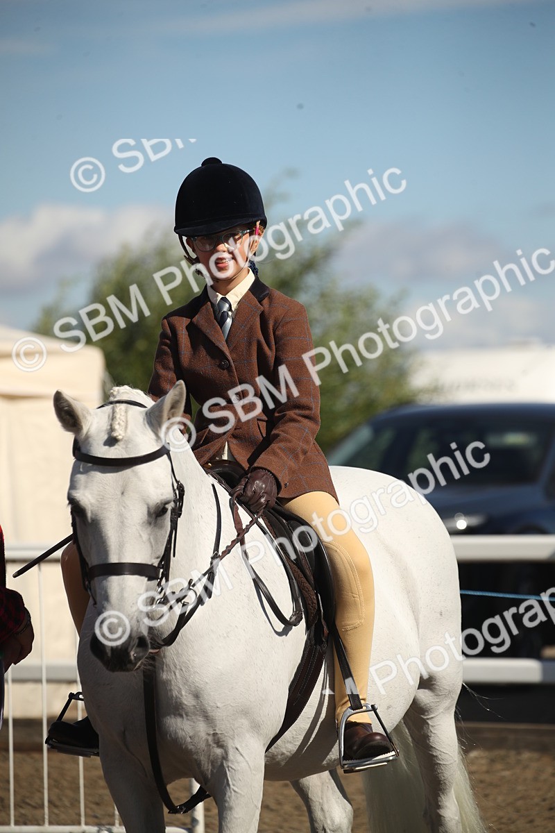 SBM_12754 - Class 504b - Junior Working Veteran - 40cm (20+)