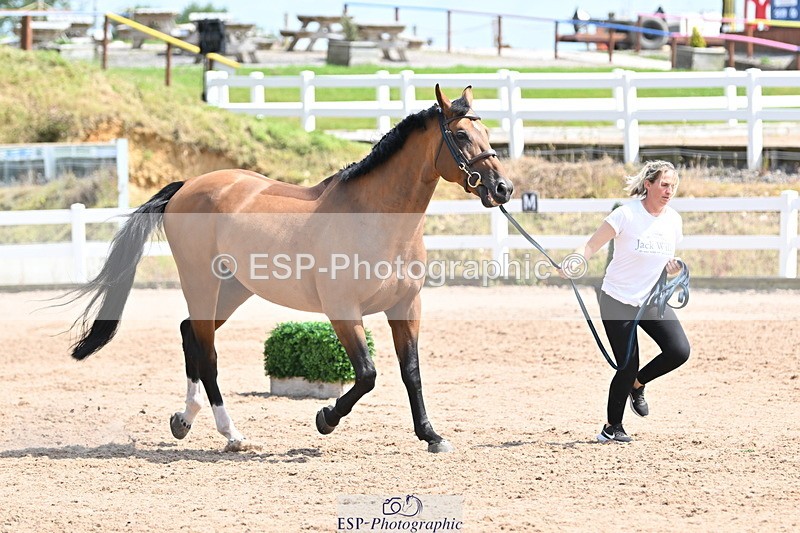 240717A-152012-02763 - Trot Up 3pm to 4pm