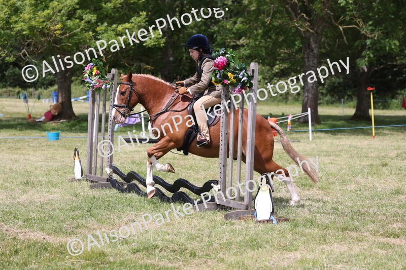20260614-1934 - Class 21 - Novice Working Hunter Pony