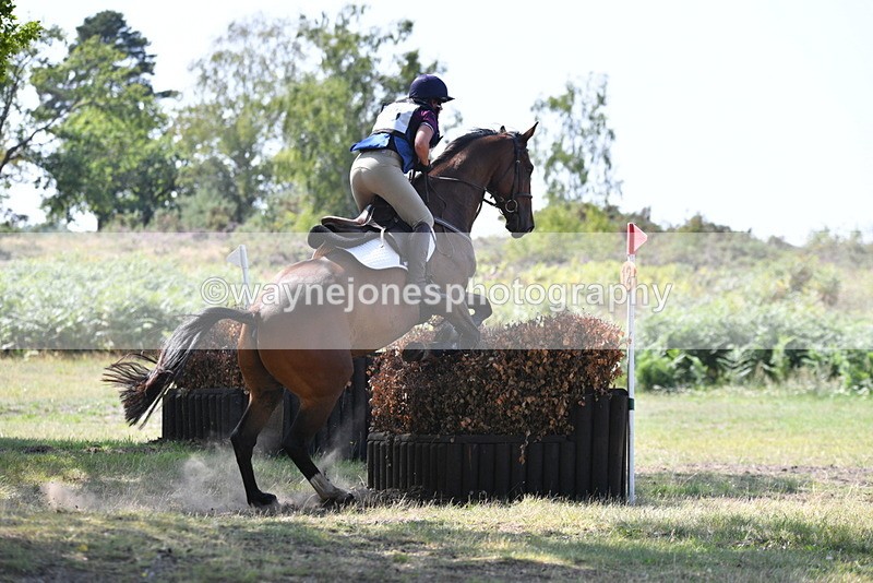 WJ5_3255 - XC Time 13:03 to 13:28