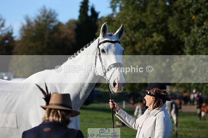 241027-084255-14767 - 386-Sarah.Ulph-COOL.ICE