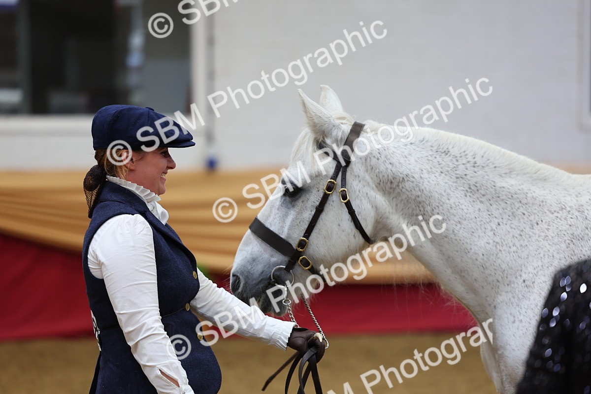 SBM_22850 - Class 903 - Supreme Final - IH Pre Vet