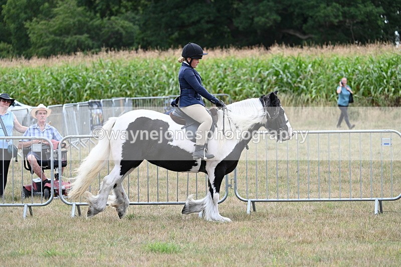 WJ7_5339 - Class 12 Ridden Cob