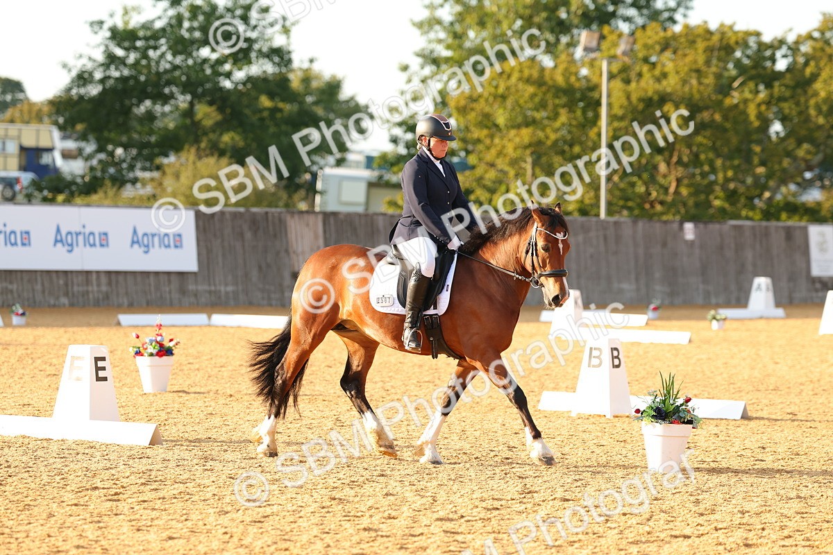 SBM_54510 - D12 - Small Tour Championship - Prelim 18