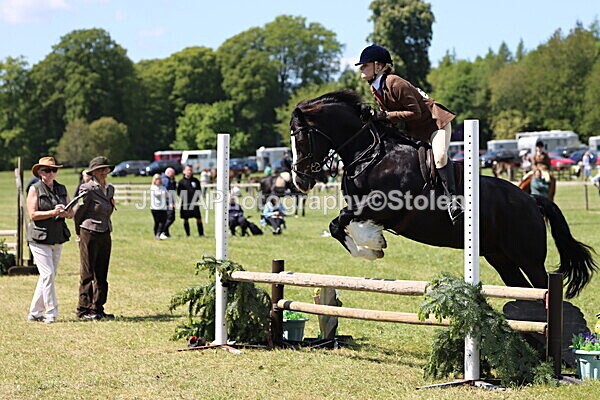IMG_3705 - Working Hunter
