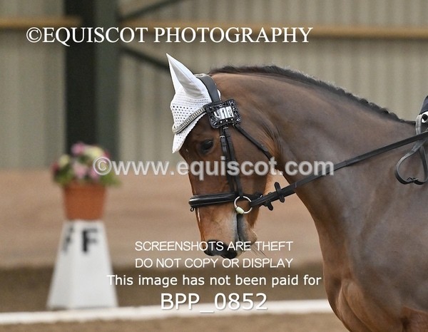 BPP_0852 - 10 - K MURDOCH
