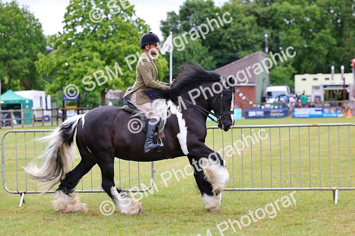 SBM_02612 - Class 9-11 Side Saddle including LIHS Rising Star Ladies Show Horse