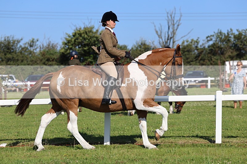 IMG_1424 - Class 29:  Ridden Native/Trad Coloured Horse