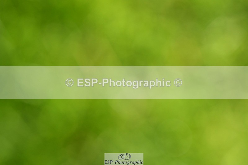 231110-131608-01571 - Cls 6 Elementary 57Q