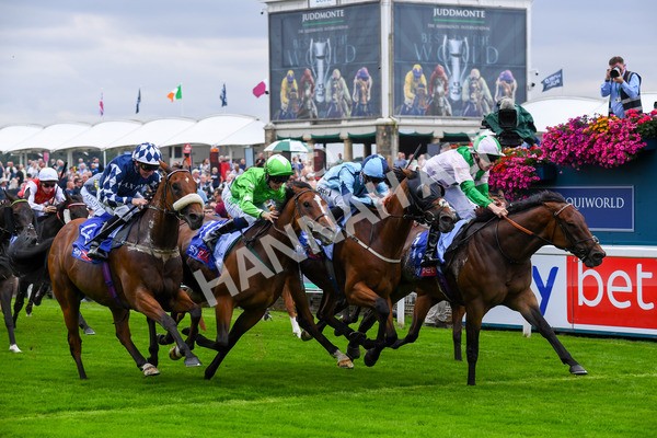 230823-Race 1-Equilateral-0253 - Race 1 1.50pm Sky Bet And Symphony Group Handicap