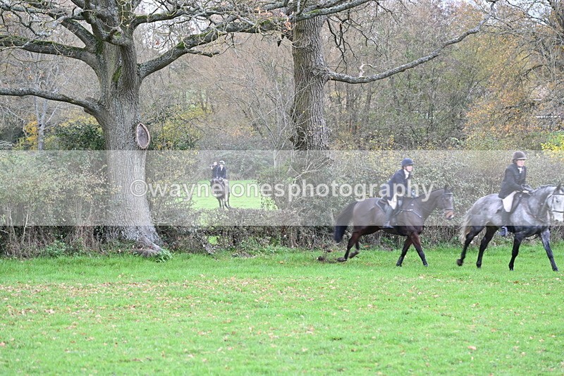 WJ6_1468 - Camera 1