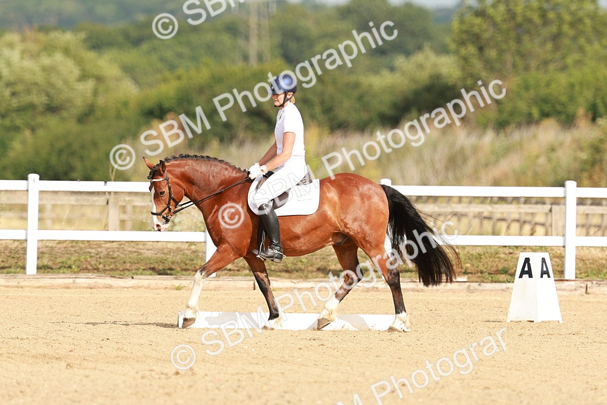 SBM_021037 - Class 12 - P6