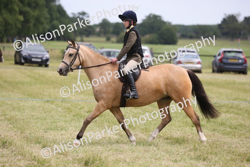 20260614-2973 - Class 22 - Open Working Hunter