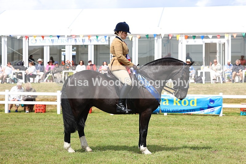 3E7A0691 - Rising Star Ridden Championship