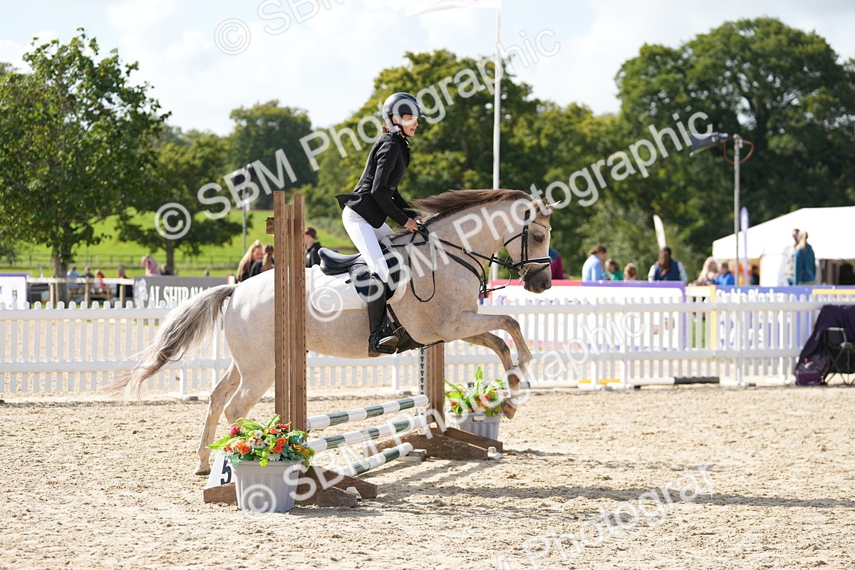 SBM_17842 - J58 - Clear Round 50cm