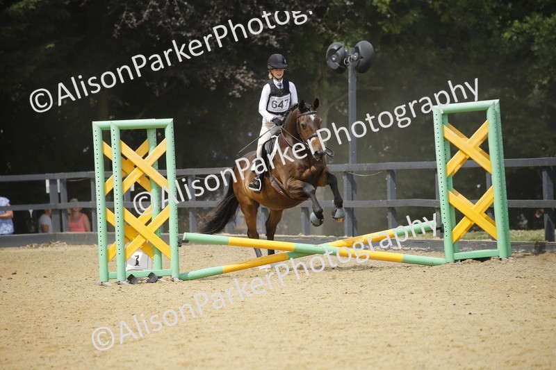 20250622-4146 - 50cm