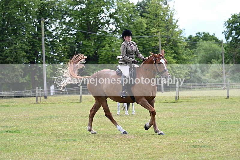 WJ7_9342 - Class 8 Ridden Veterans
