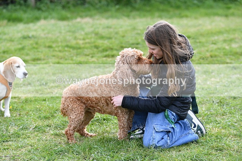 WJ5_0191 - Class 5 Best Veteran / 7 years & over