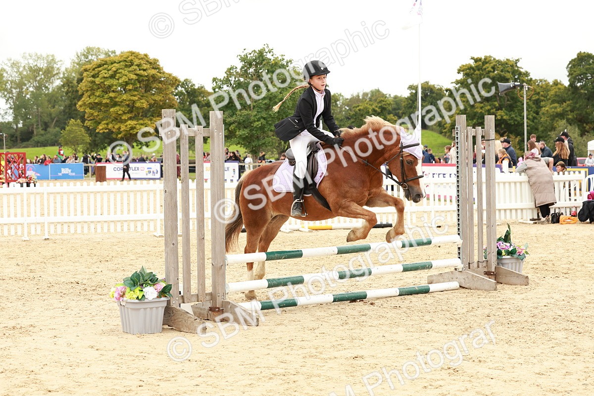 SBM_63785 - J12 - Junior Pony 55cm Championship