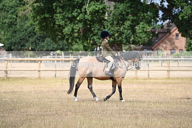 WJ6_7557 - Class 9 Tack and Turnout