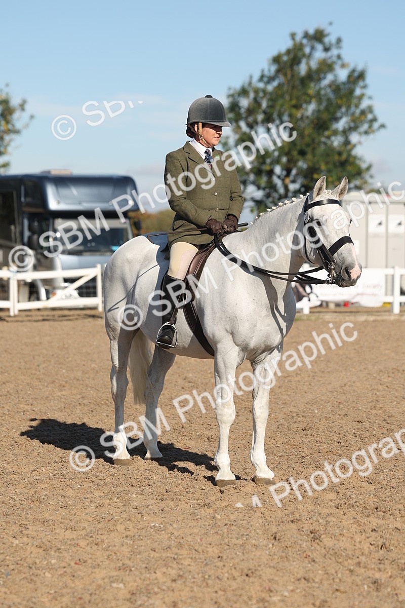SBM_12224 - Class 303 - Ridden Pure Bred Horse Pony