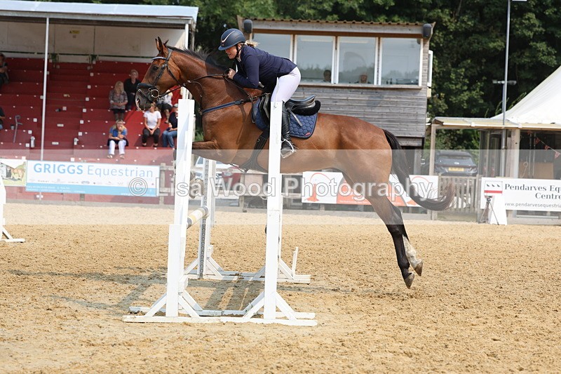 3E7A1505 - Class 4: Senior British Novice/90cm open