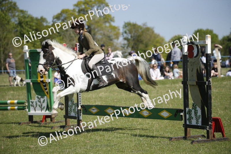 20250427-2201 - Class 13 - Novice Jumping 60cm