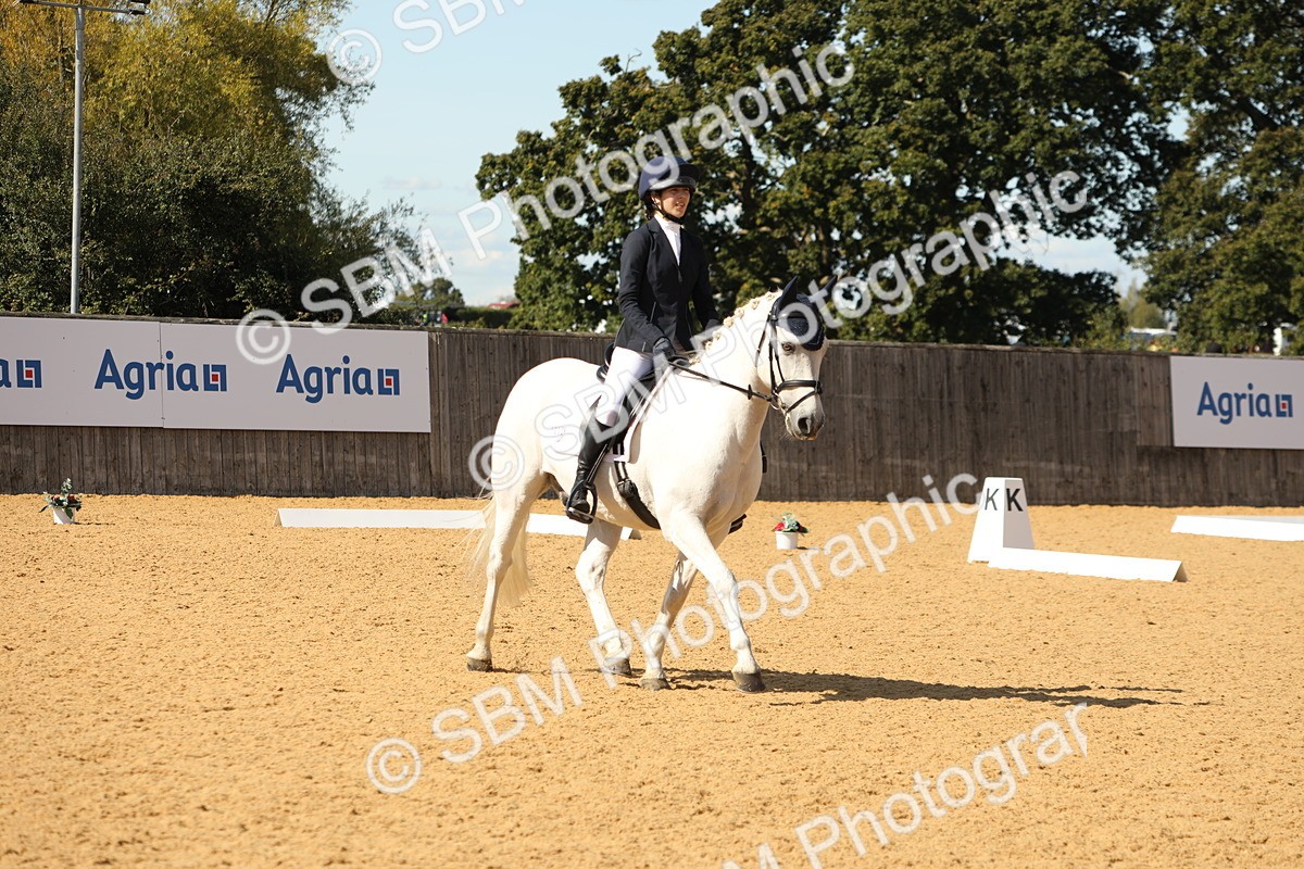 SBM_22342 - D17 - Grand Tour Championship - Novice 27