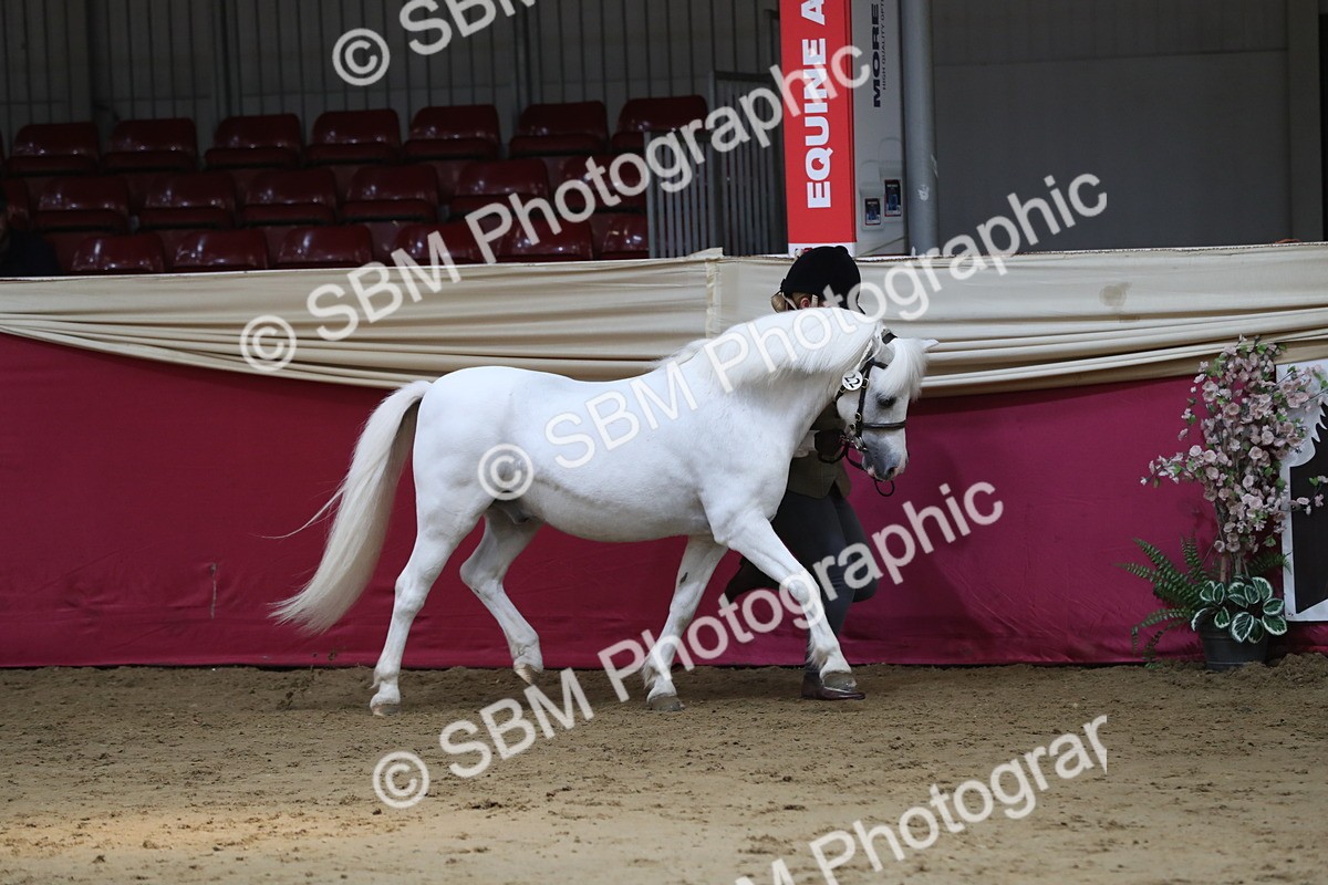 SBM_04929 - Class 8R- Regional -IH Veteran