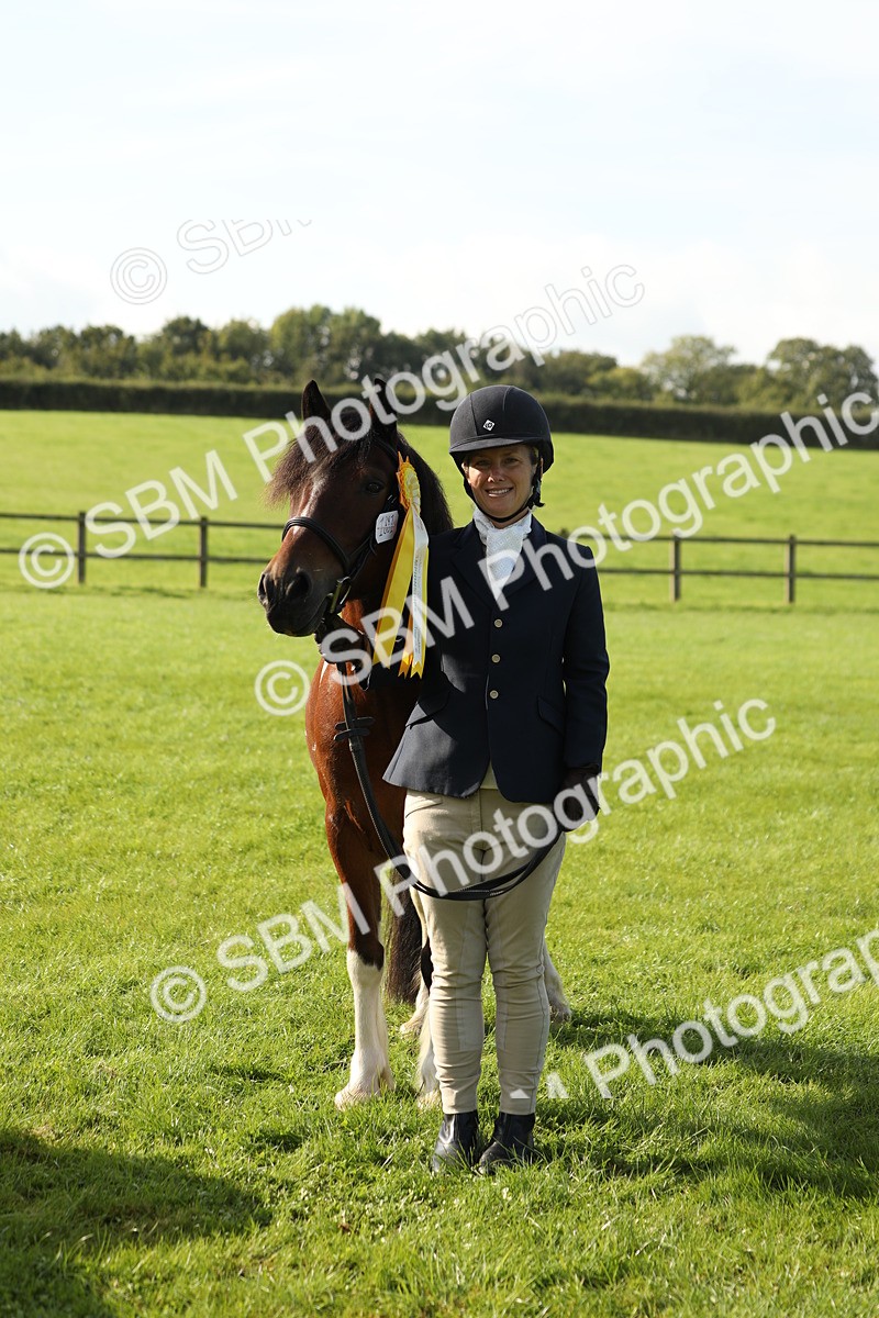 SBM_61004 - S43 - Coloured Pony In Hand