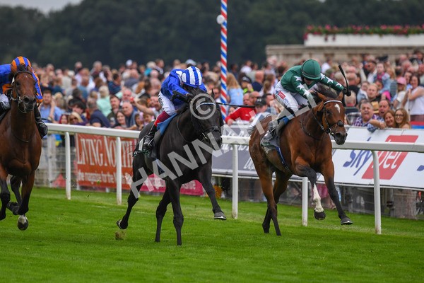 230823-Race 4-Mostahdaf-0577 - Race 4 3.35pm Juddmonte International Stakes