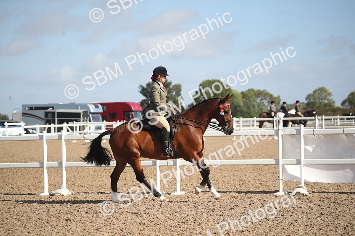 SBM_22713 - Class 601 - 2026 - Area - Ridden Diamond