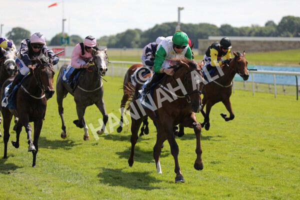 yr11062021r3-26 - Race 3 2.55pm SKF Rous Selling Stakes