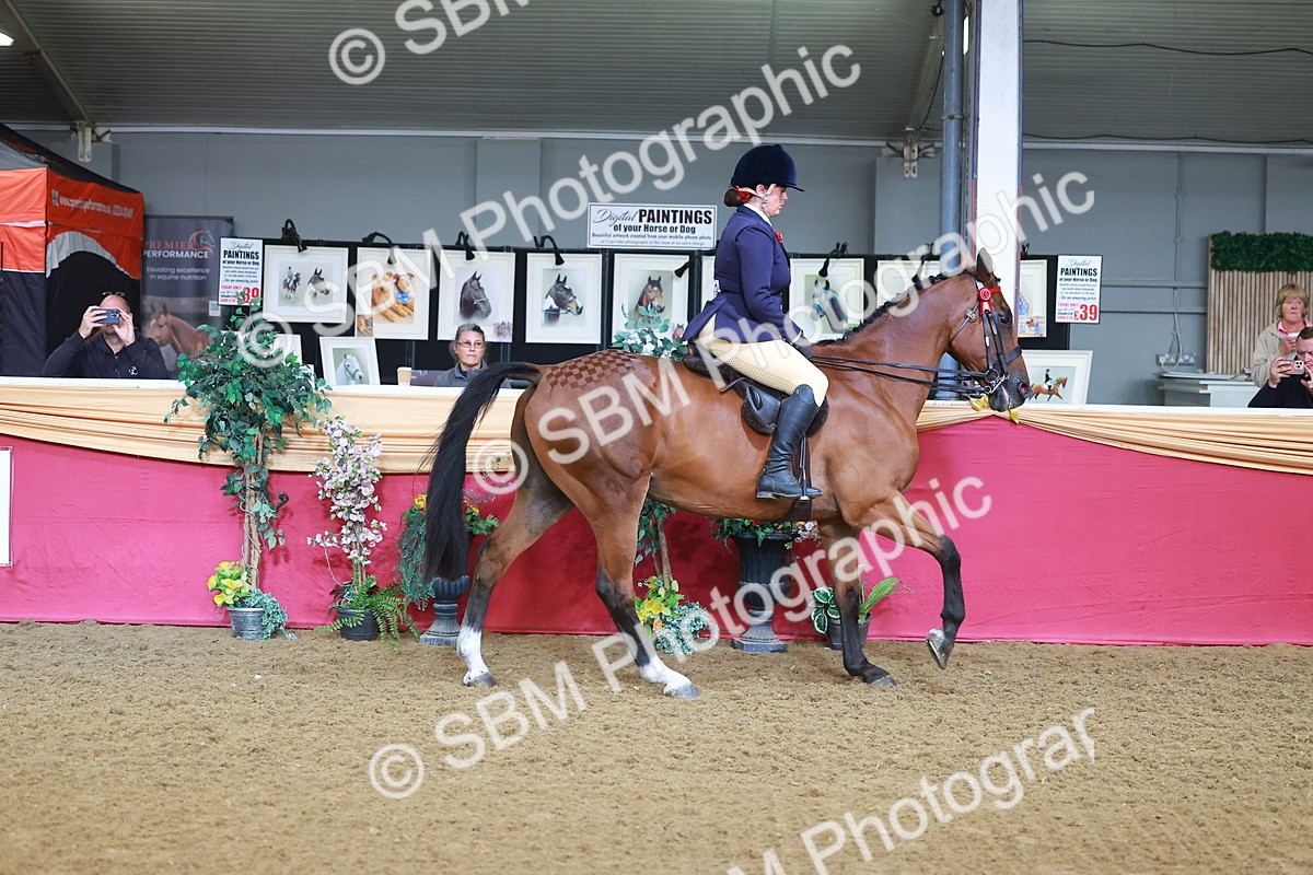 SBM_07619 - Class 101 - HOYS Veteran Qualifier - Ridden Diamond