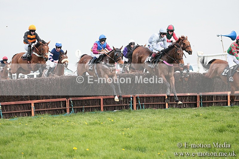 PtP 210418 334 - South & West Wilts Point-to-Point Larkhill 21/04/18