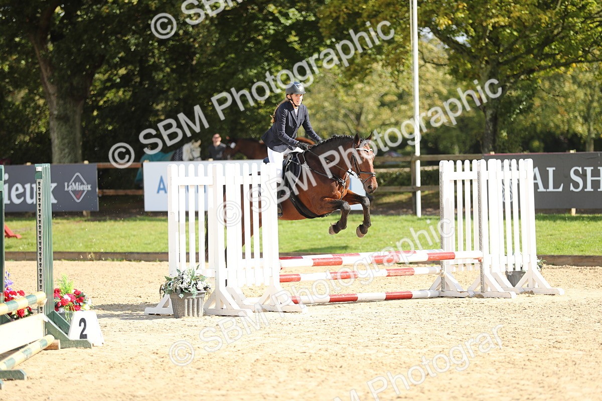 SBM_40203 - J21 - Junior Horse 60cm Championship