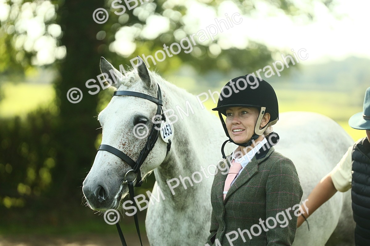 SBM_52128 - S33 - Working Hunter & Working Show Horse