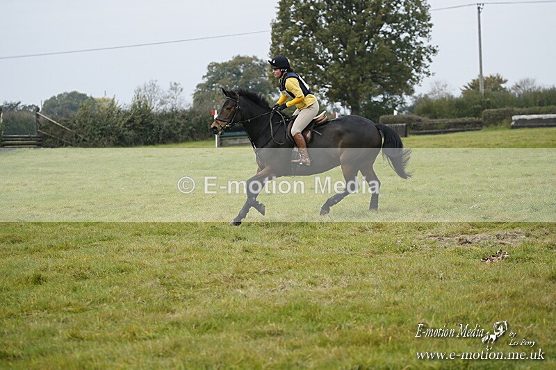 WWHT 181020 WWHT 181020 621 - WWEC Open Novice (0.80m) 18/10/20