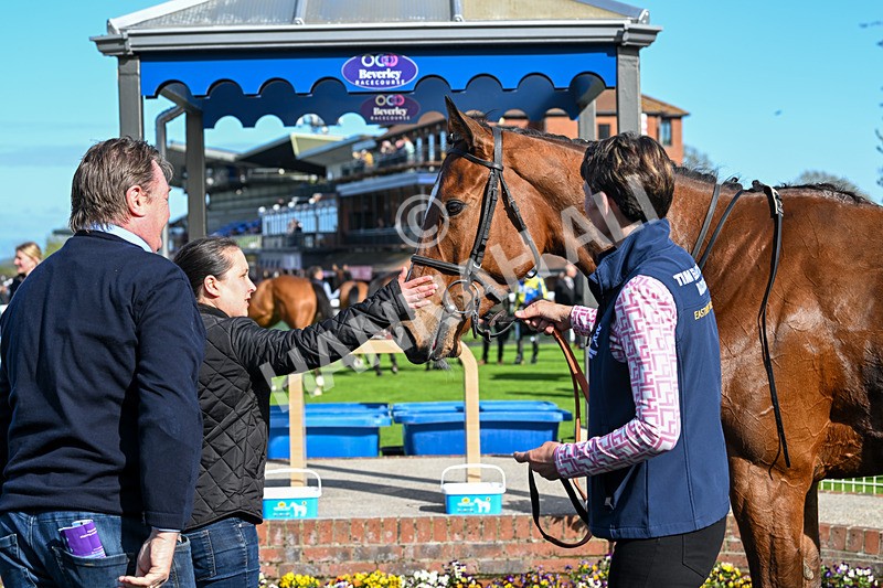 240425-Race 6-Alfie Boy-1732 - Race 6