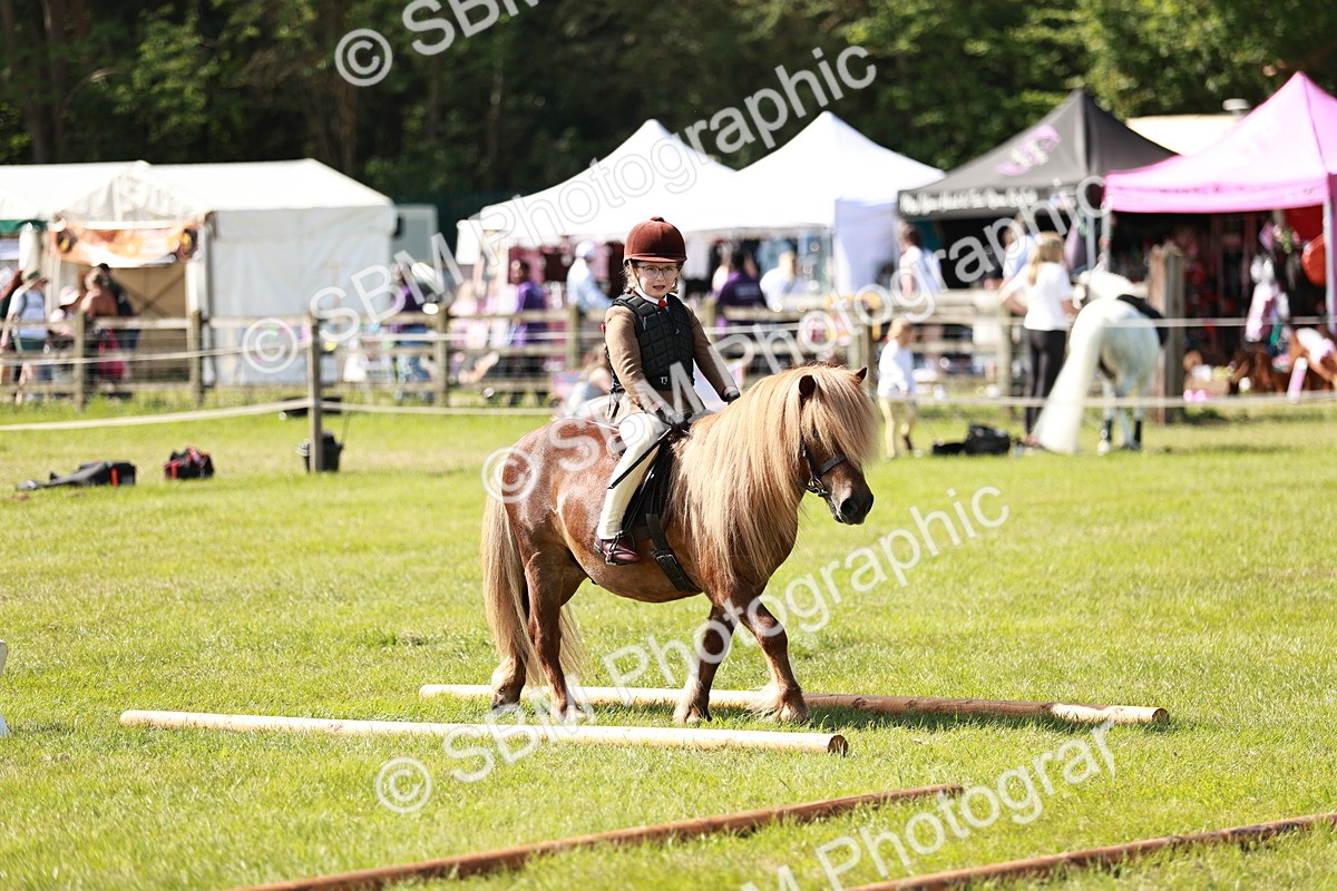 SBM_12761 - Class 106-107 - BSPS LIHS Working Sports Pony