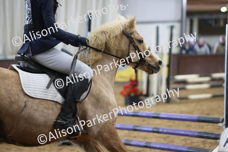 20260314-0539 - 60cm