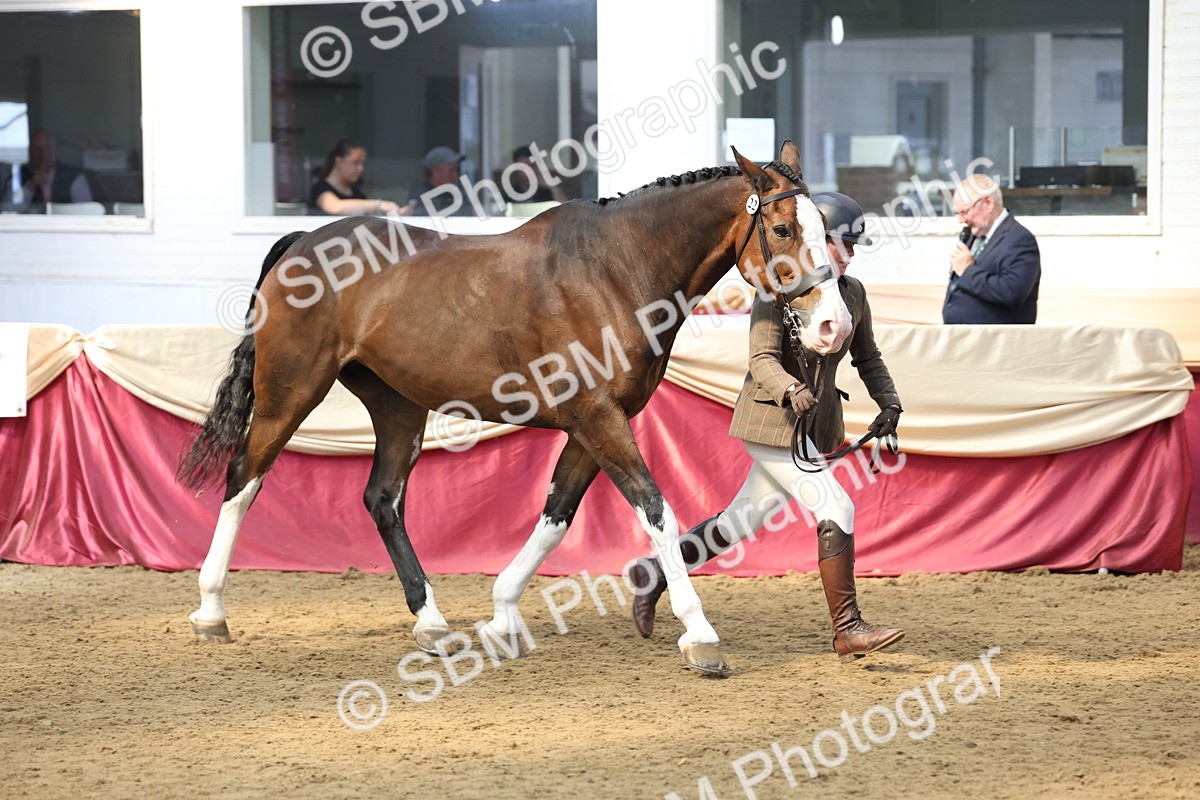 SBM_24139 - Class 905 - Supreme Final - Ridden Veteran