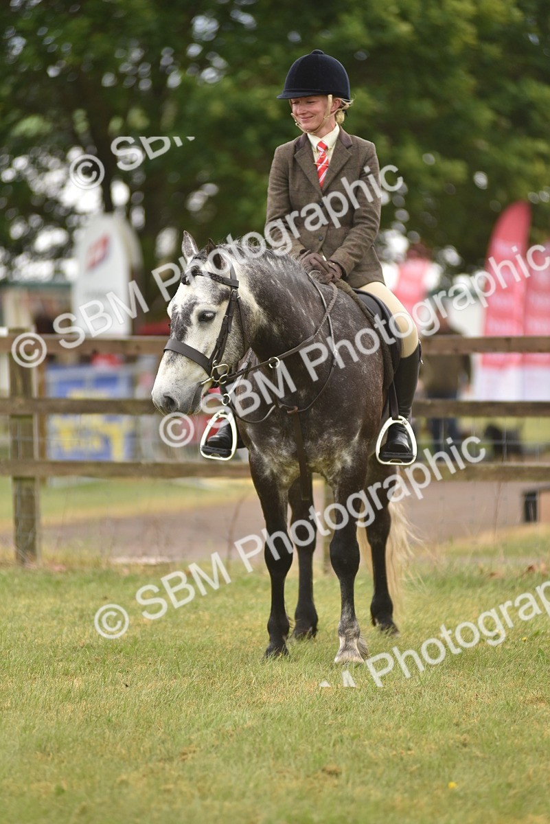 SBM_12118 - Class 110-112 - LIHS BSPS Performance Pones