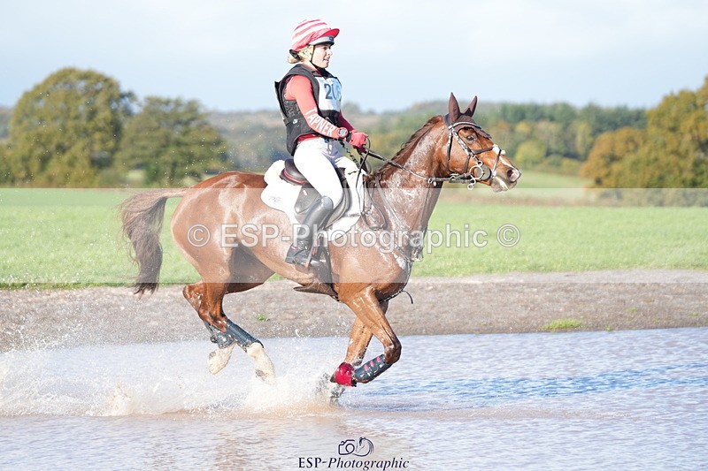 251024A-143903-12875 - C-206-Madison.Tapner